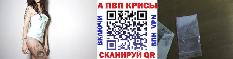 Alfa_PVP СК Новоржев