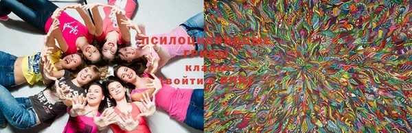 первитин Вяземский