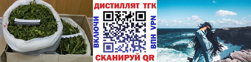 Дистиллят ТГК THC oil  купить закладку  Новоржев 